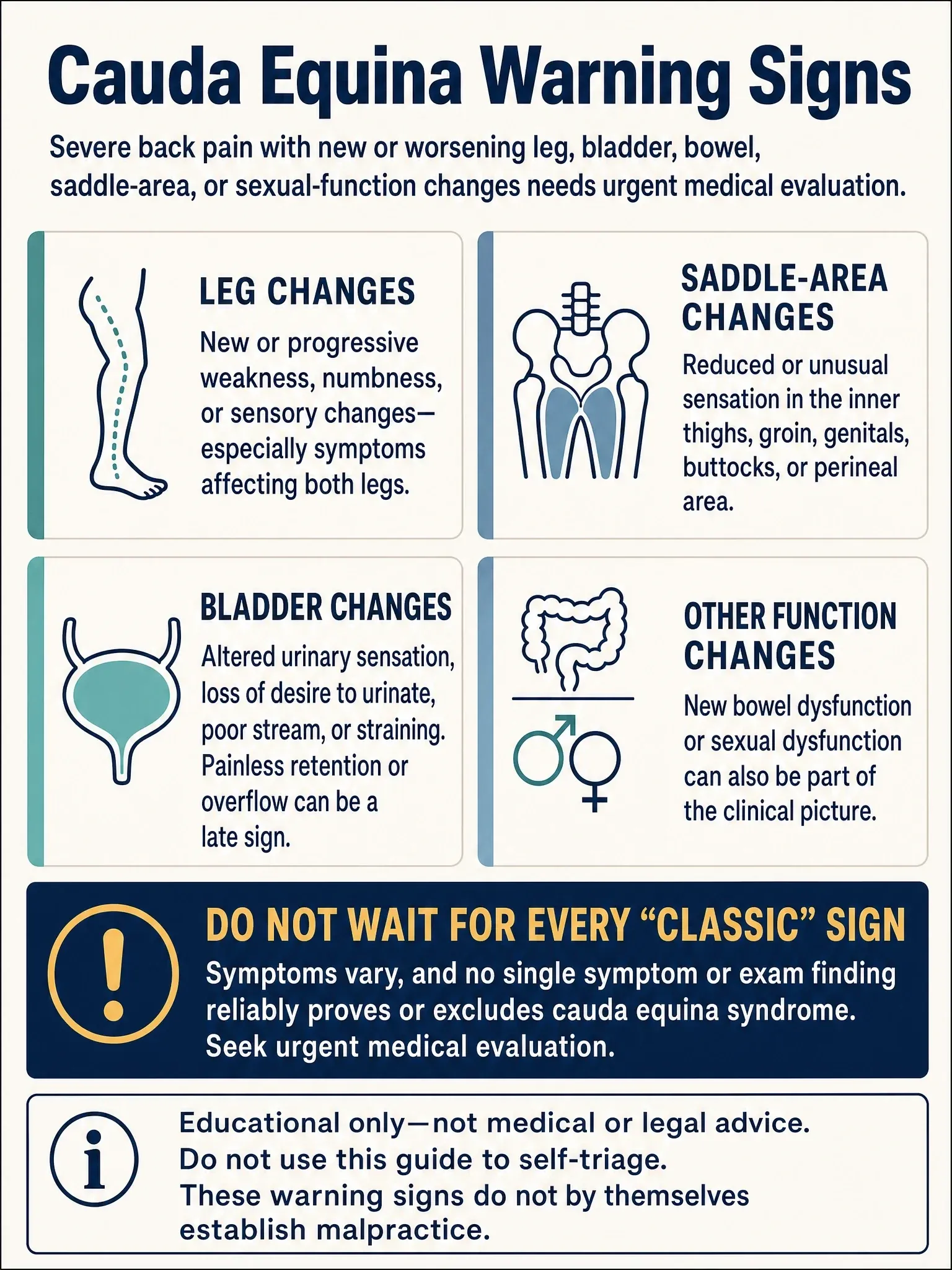 Checklist of cauda equina warning signs involving leg, saddle-area, bladder, bowel, and sexual-function changes, advising urgent medical evaluation.
