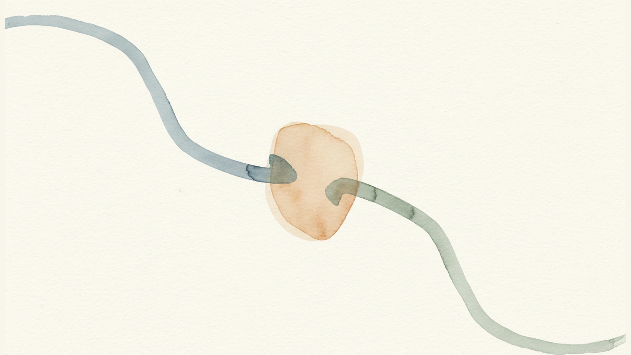 Minimal watercolor image of route lines converging into a claim-form shape, suggesting overlapping rideshare liability and insurance coverage.